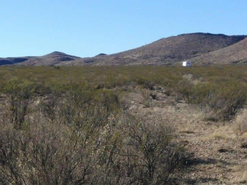 Camping At Desert Gardens Oasis In Lobo, Tx Van Horn Exterior foto